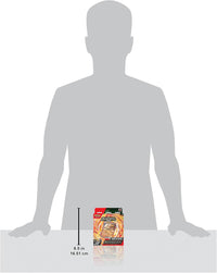 Pokemon TCG: Ninetales ex Deluxe Battle Deck