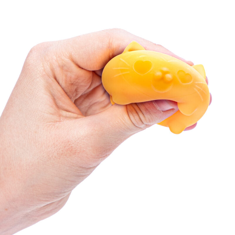 Teenie Needoh Cool Cats - 3 Pack