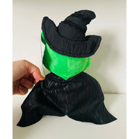 Care Bears x Wicked Good Luck Elphaba Plush 22cm