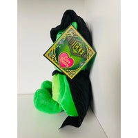 Care Bears x Wicked Good Luck Elphaba Plush 22cm