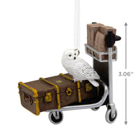 Harry Potter Trolley with Trunk & Hedwig the Owl Ornament