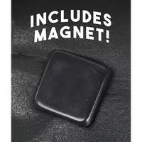 Magnetic Storms Strange Attractor - Thinking Putty