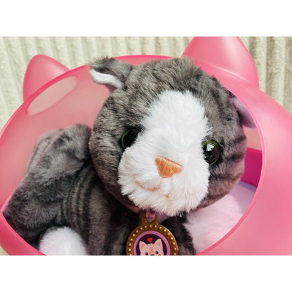 Baby Born My Cat Cookie With Box - Planet Toys