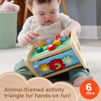 Fisher - Price Wooden Activity Triangle - Planet Toys