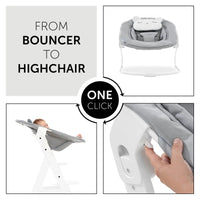 Hauck Alpha Bouncer 2 - in - 1 - Light Grey - Planet Toys