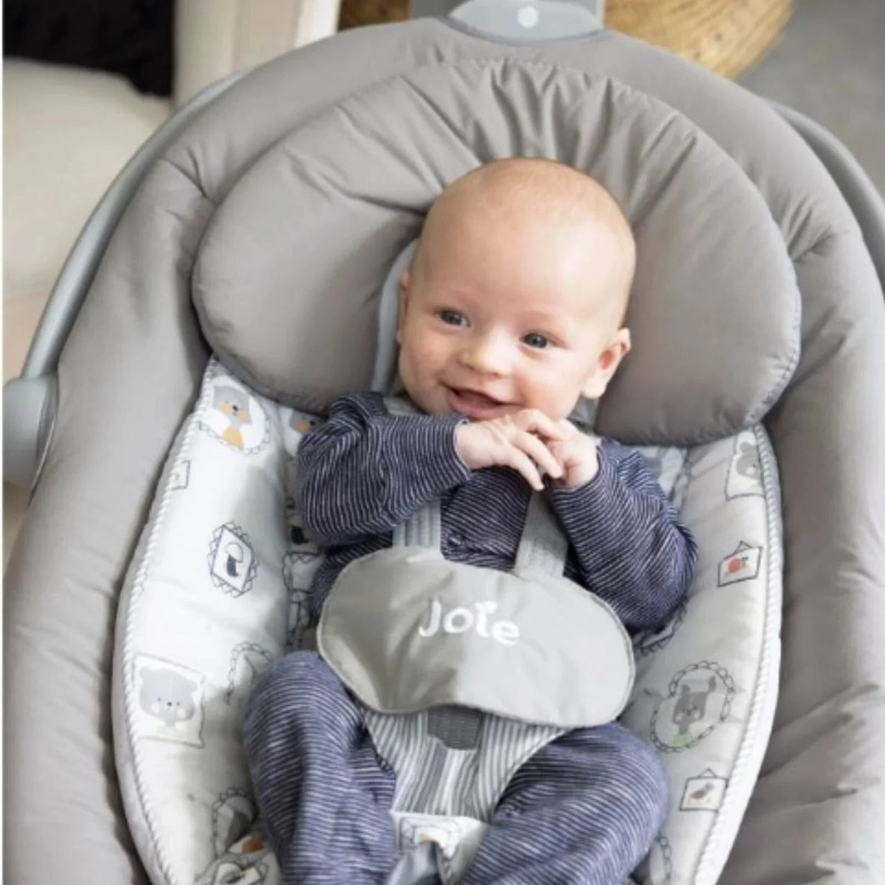 Joie Serina 2 - in - 1 Swing - Cosmo Grey - Planet Toys